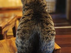 -云端咖啡私房店(河松街店)