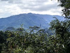 -麦积山温泉