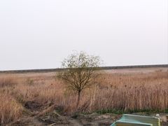 -春花秋色城市公园