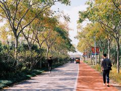 -上海长兴岛郊野公园