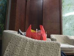 -哈尔滨太平国际机场