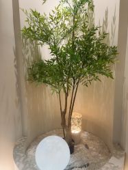 -VE专注问题肌·赛诺龙&科学美肤中心