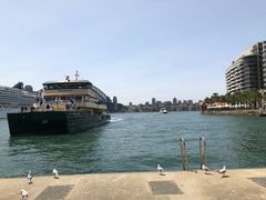 -沃森湾