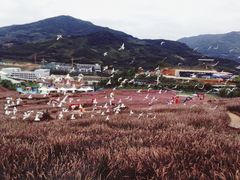-瓷天下海丝谷