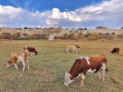 -塞罕坝国家级自然保护区