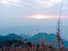 -朱雀国家森林公园