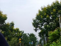 -桤木河湿地公园