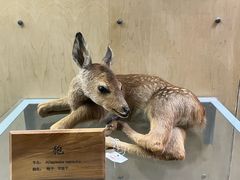 -陕西自然博物馆