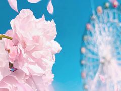 -观澜湖生态运动公社