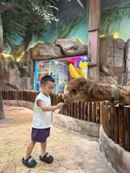 -宝燕乐园(闵行旗舰店)