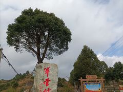 -军营村