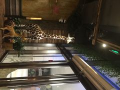 ZOO&nbsp;COFFEE(汉神百货店)-雨舍咖啡(汉神购物广场咖啡街区店)