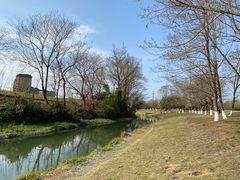 -两河城市森林公园