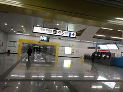 -百林公园-两江幸福广场