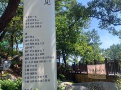-沂蒙山旅游区云蒙景区(蒙山国家森林公园)