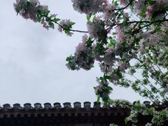 -海棠花溪(元大都城垣遗址公园)