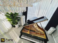 -Melody Mentor音乐私教馆(朝外·悠唐店)