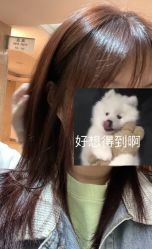 -潘多拉Hairsalon