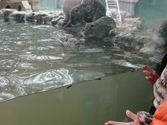 -南昌动物园