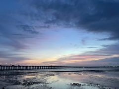 -宝安西湾红树林湿地公园