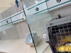 -爱派特动物医院·全科诊疗中心