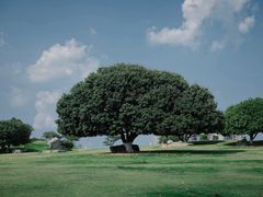 -红花山公园