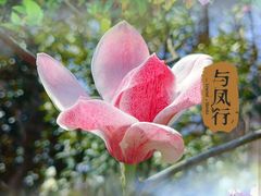 -上海滨江森林公园