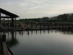 -溱湖国家湿地公园