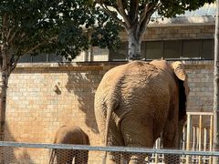 -石家庄市动物园