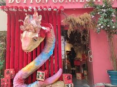 -溪岸路花鸟市场