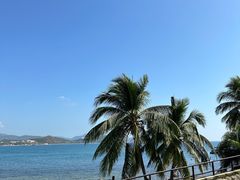 -雾山韩式烤肉·海南糟粕&椰子鸡火锅·海景餐厅(三亚绿发山海天JW万豪酒店)