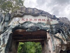 -莫里热带雨林景区