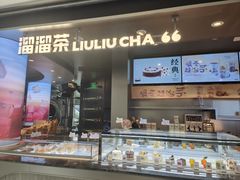 -TD66高山铁皮石斛养生茶饮