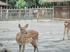 -金沙遗址博物馆
