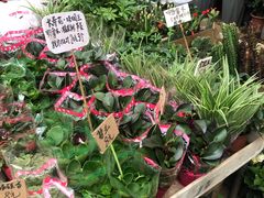 -秦美花卉(天朗·莱茵小城2期店)