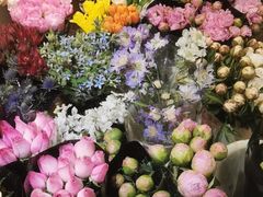 -双季花艺园艺市场(浦东店)