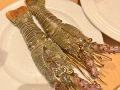 -扬州万怡酒店-中餐厅(文昌中路店)