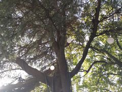 -狼山风景名胜区