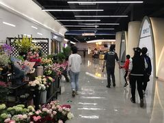 -恒生万鹂广场(唐镇店)