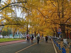 -四川大学(华西校区)