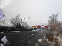 -呼兰河口湿地公园