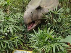 -海南热带野生动植物园