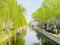 -海棠花溪(元大都城垣遗址公园)
