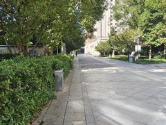 -长沙市青少年宫