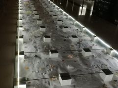-青岛贝壳博物馆