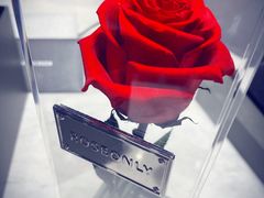 -ROSEONLY诺誓(青岛万象城店)