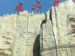 -龙大花卉苗木市场