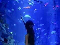 -沈阳海洋探索中心