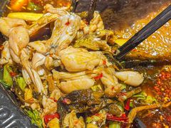 -费明中罗非鱼(大石坝店)