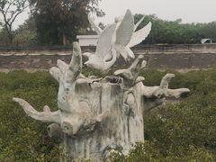 -北海金海湾红树林生态旅游区